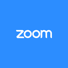 Zoom Logo