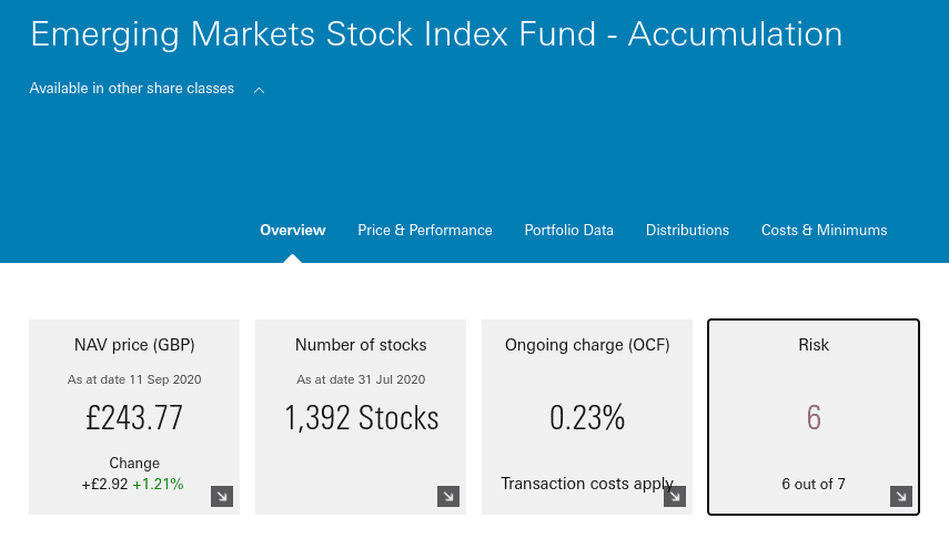 index fund risks