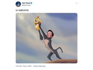 Elon Musk Dogecoin