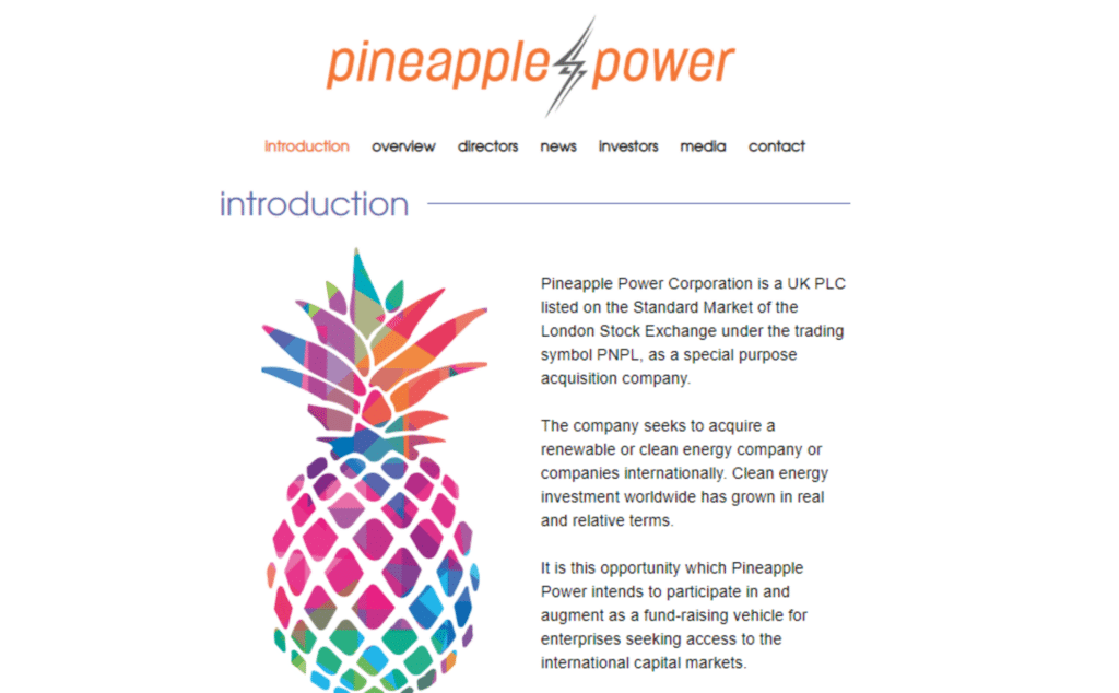 Pineapple power homepage