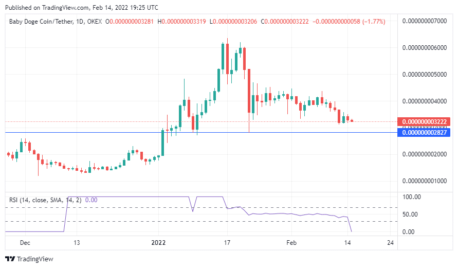 buy baby doge coin tradingview chart intraday