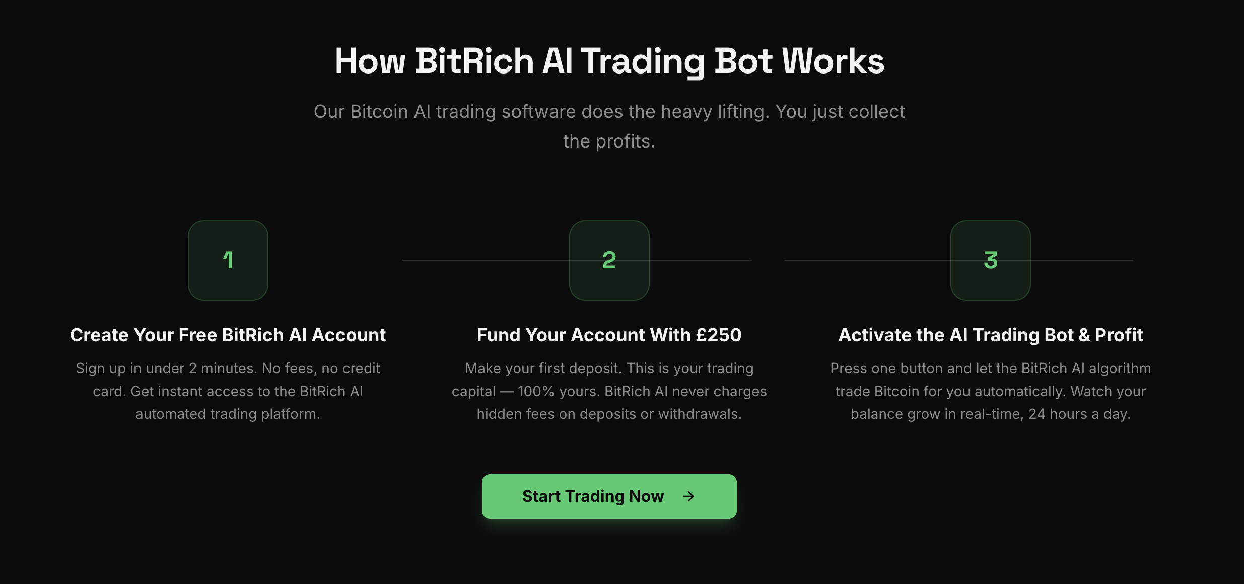 BitRich AI review